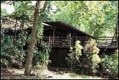 Apoyo Spanish School